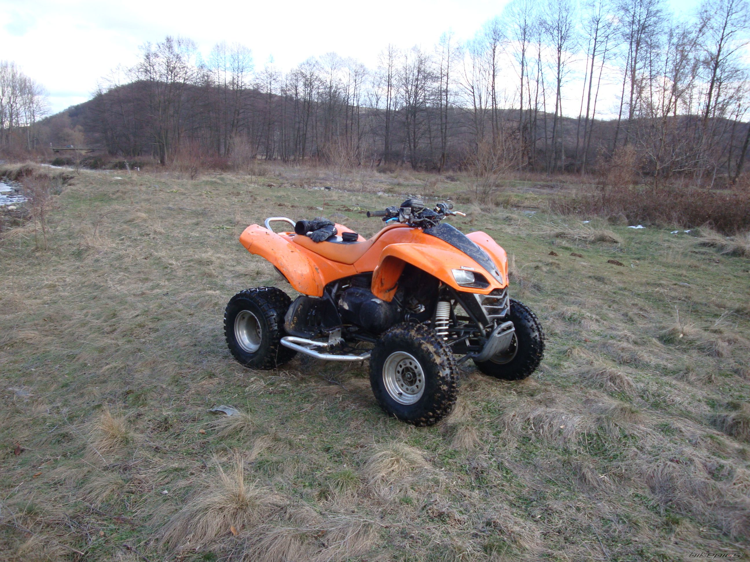 Photo 2332561