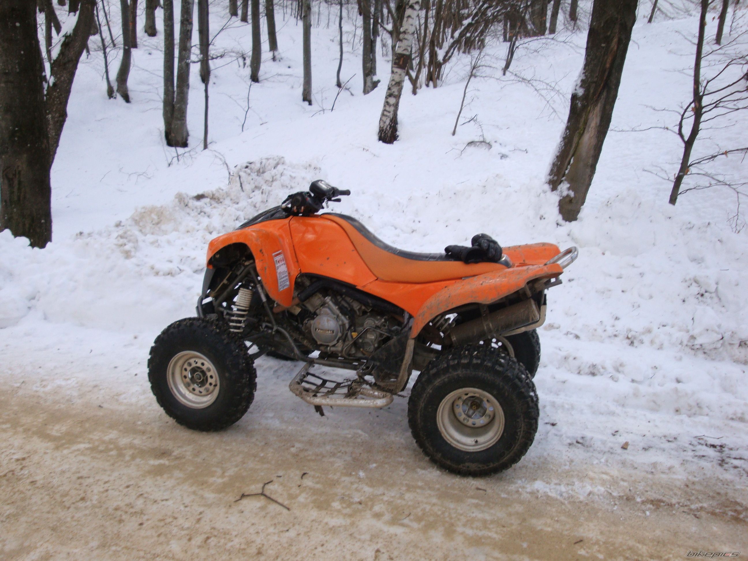 Photo 2332562