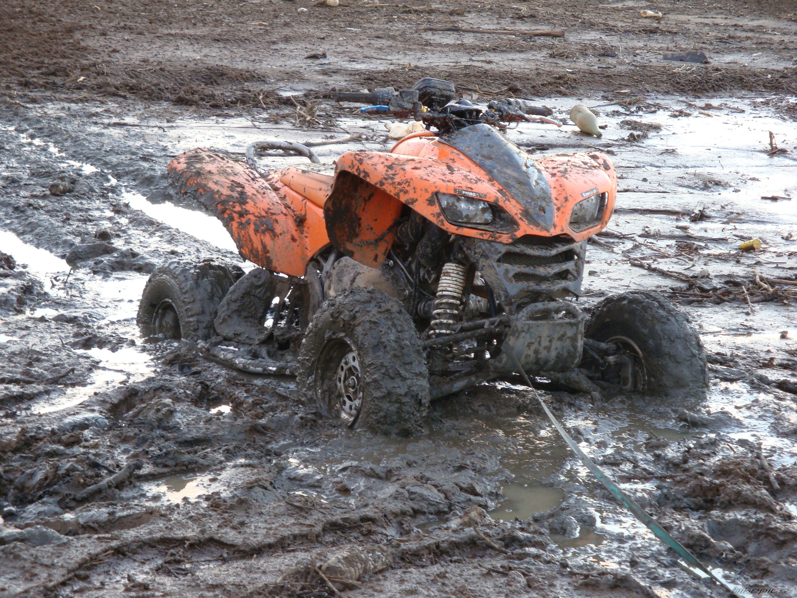Photo 2332564