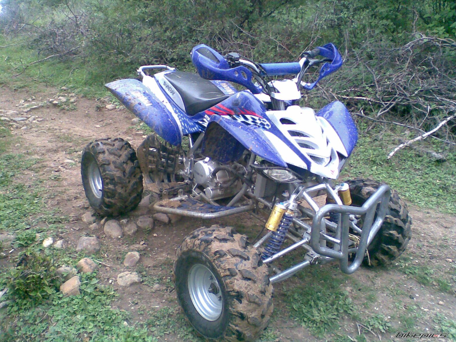 Photo 2332570