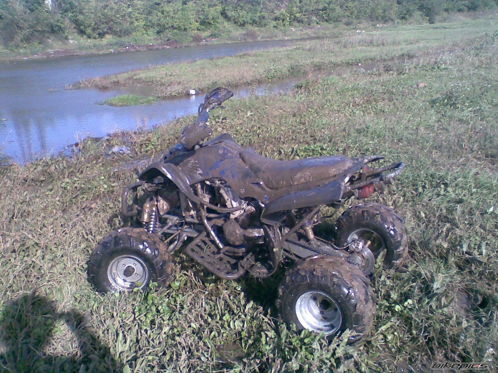 Photo 2332572