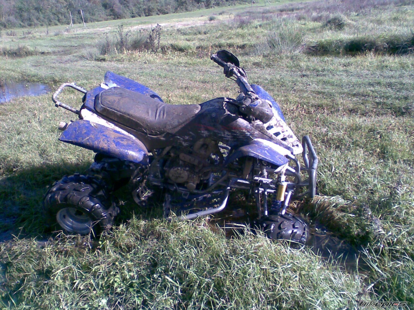 Photo 2332574