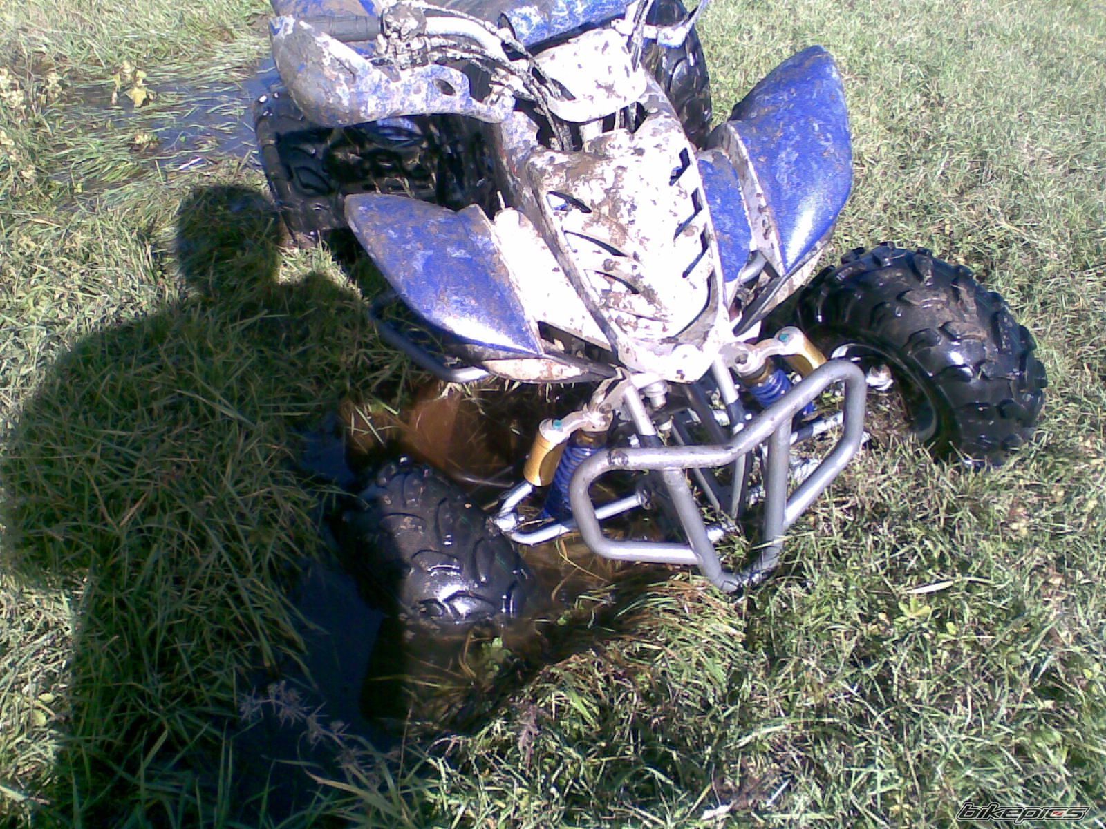 Photo 2332576