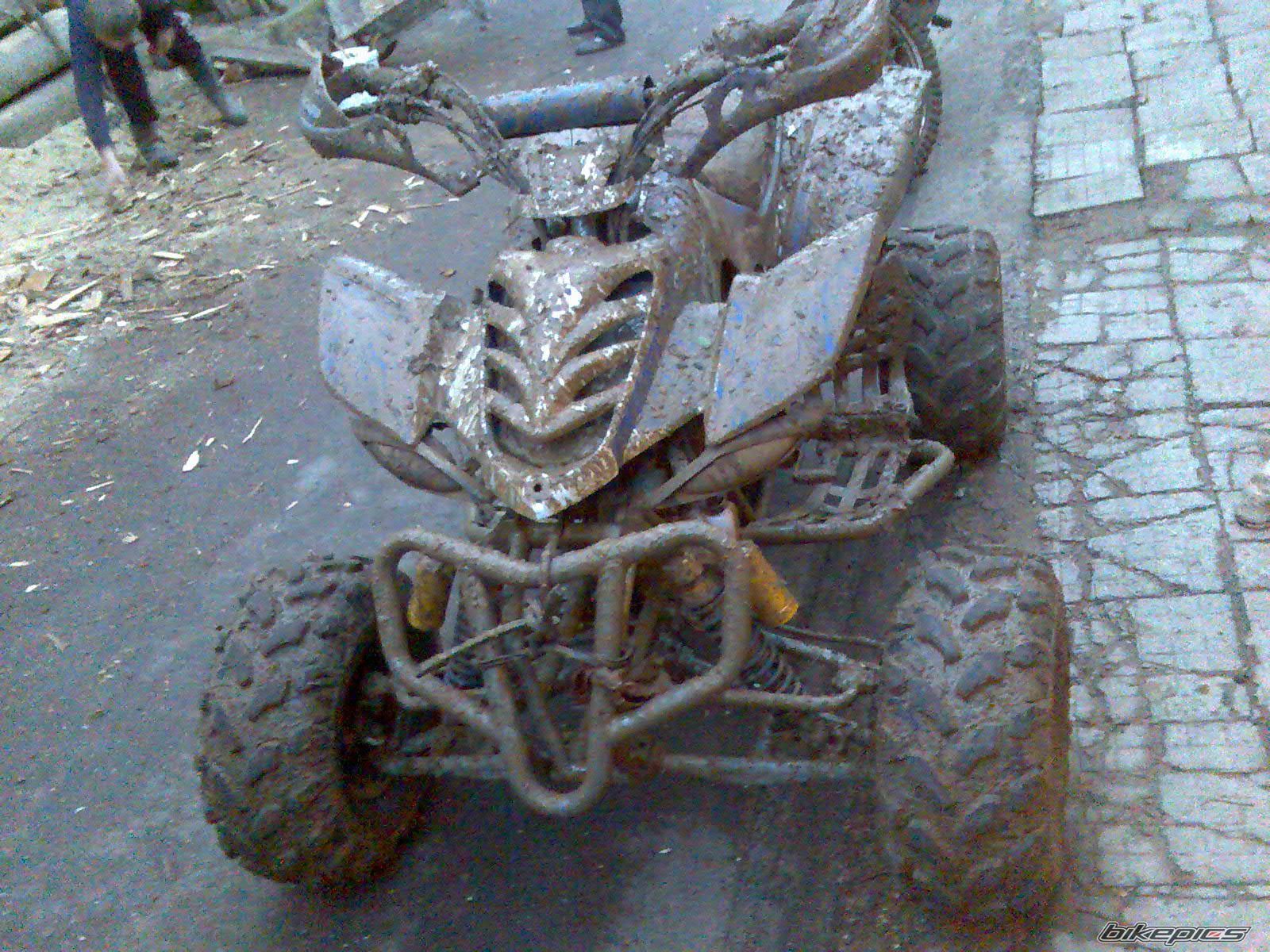 Photo 2332581