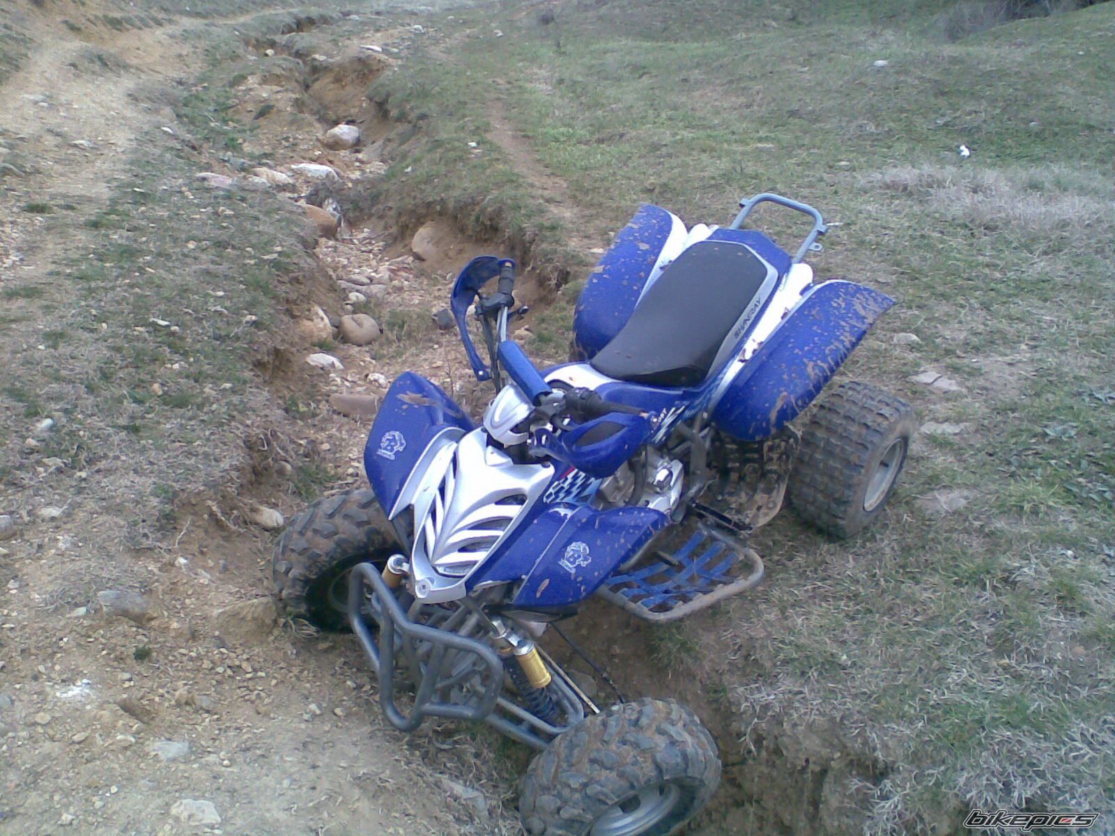 Photo 2332590