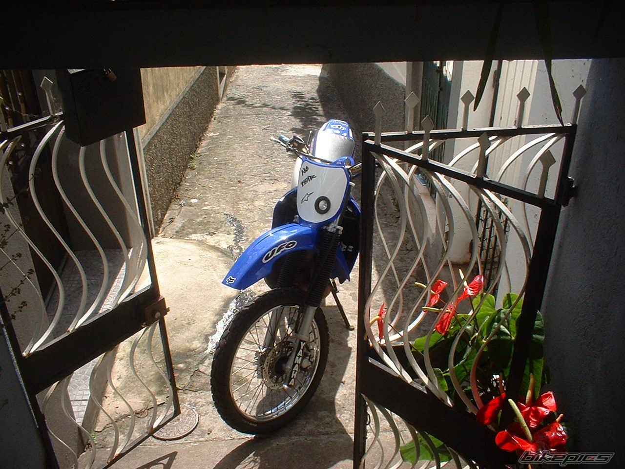 Photo 233264