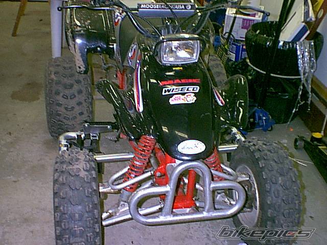 Photo 233299
