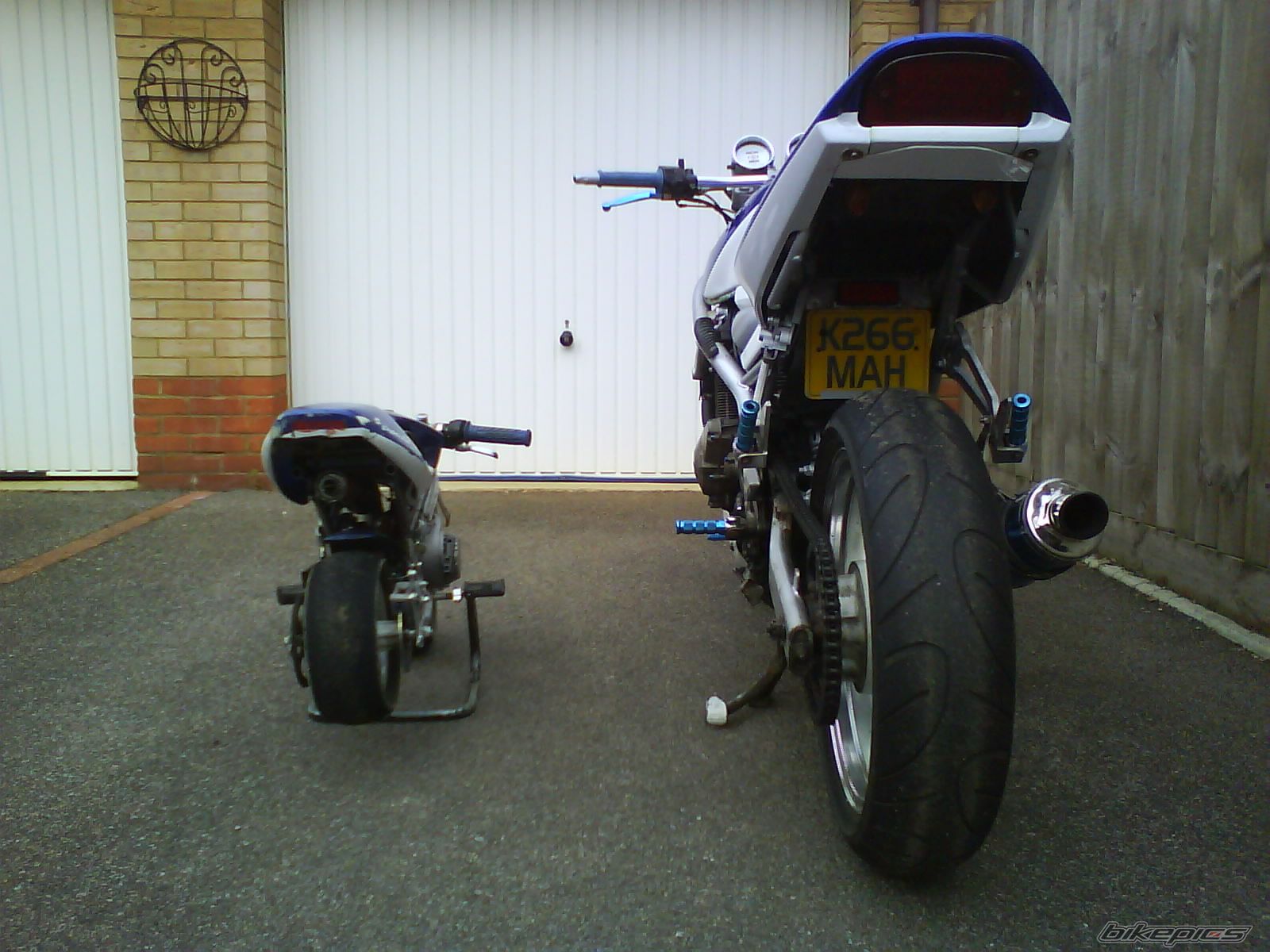 Photo 2333054