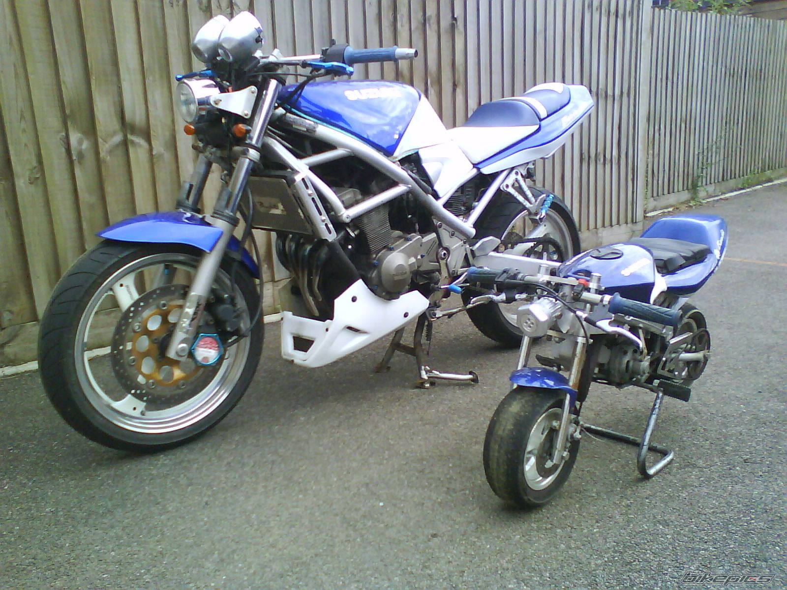 Photo 2333055