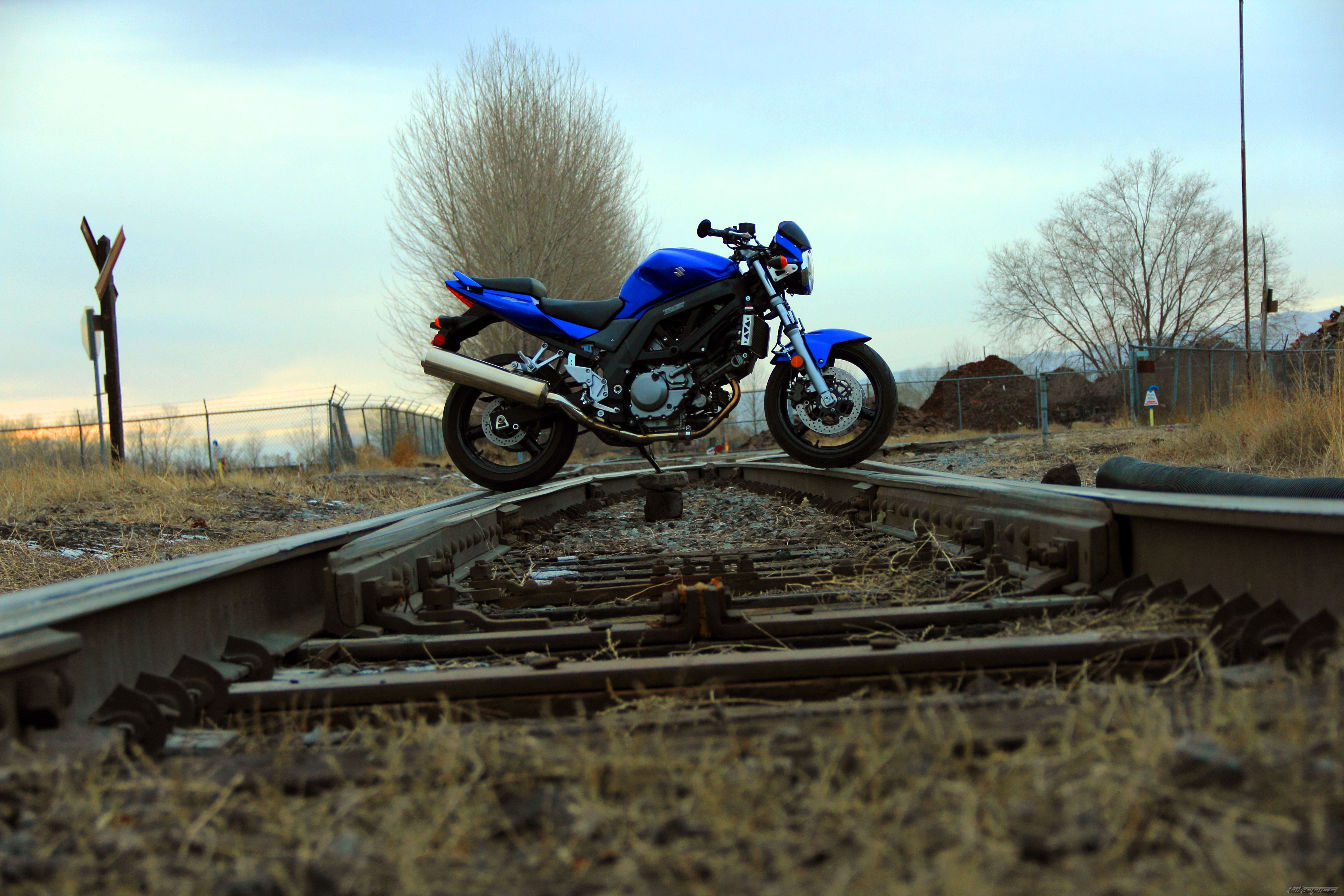 Photo 2333105