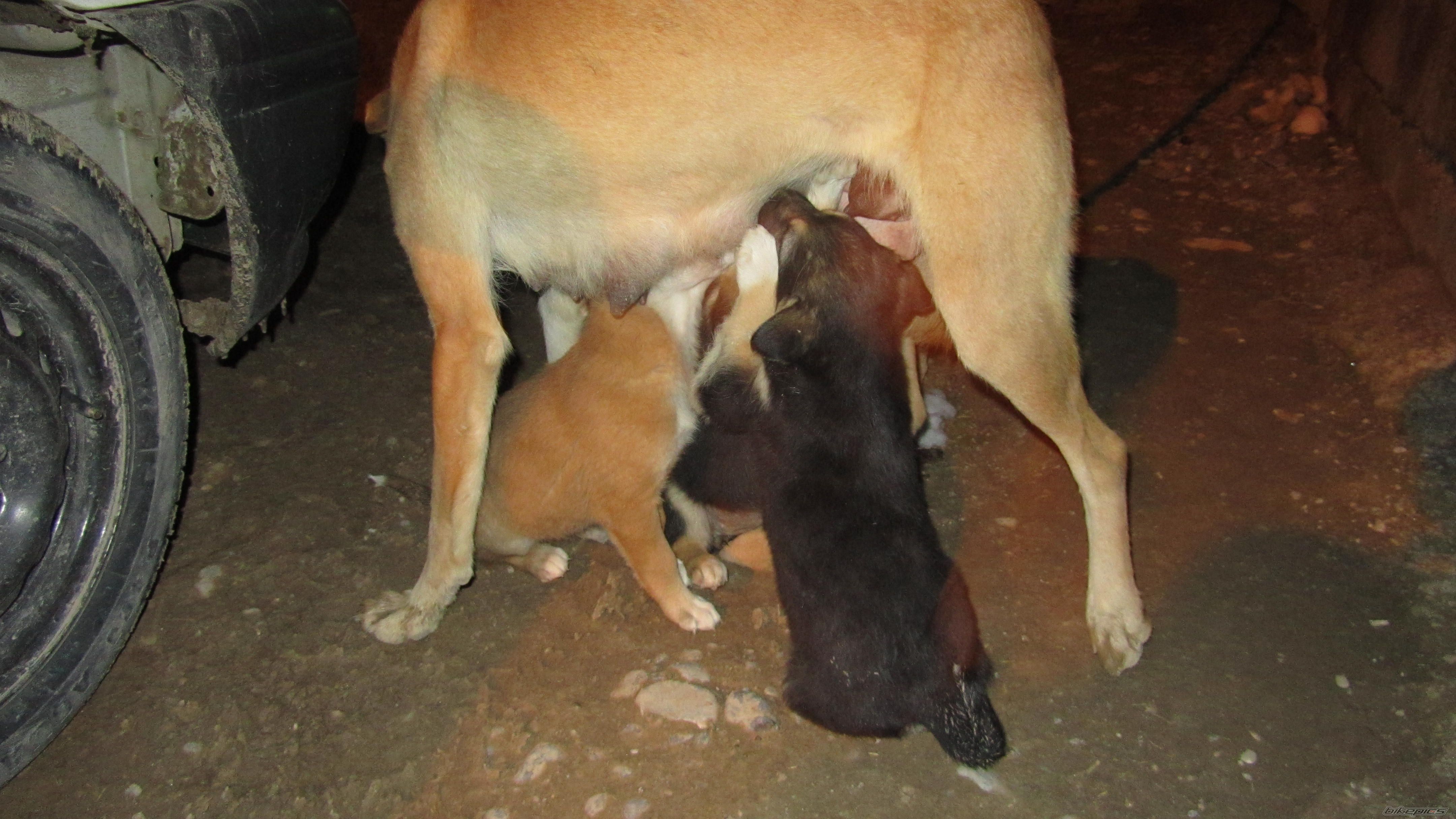 Photo 2333254