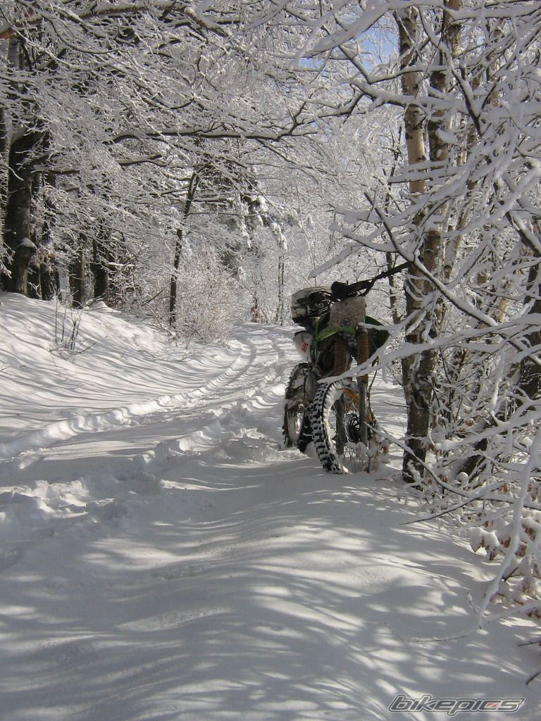 BikepicsChannel