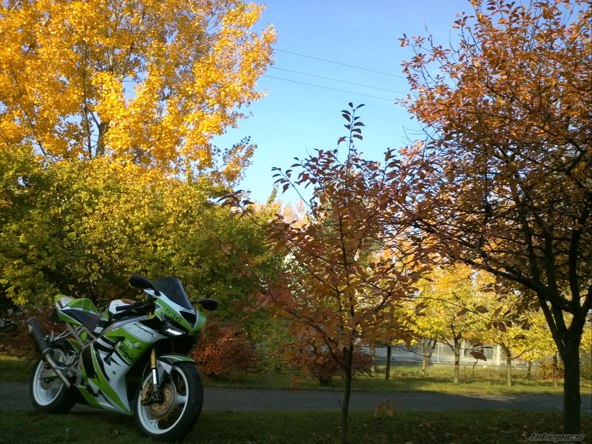 Bike Photo 2333263