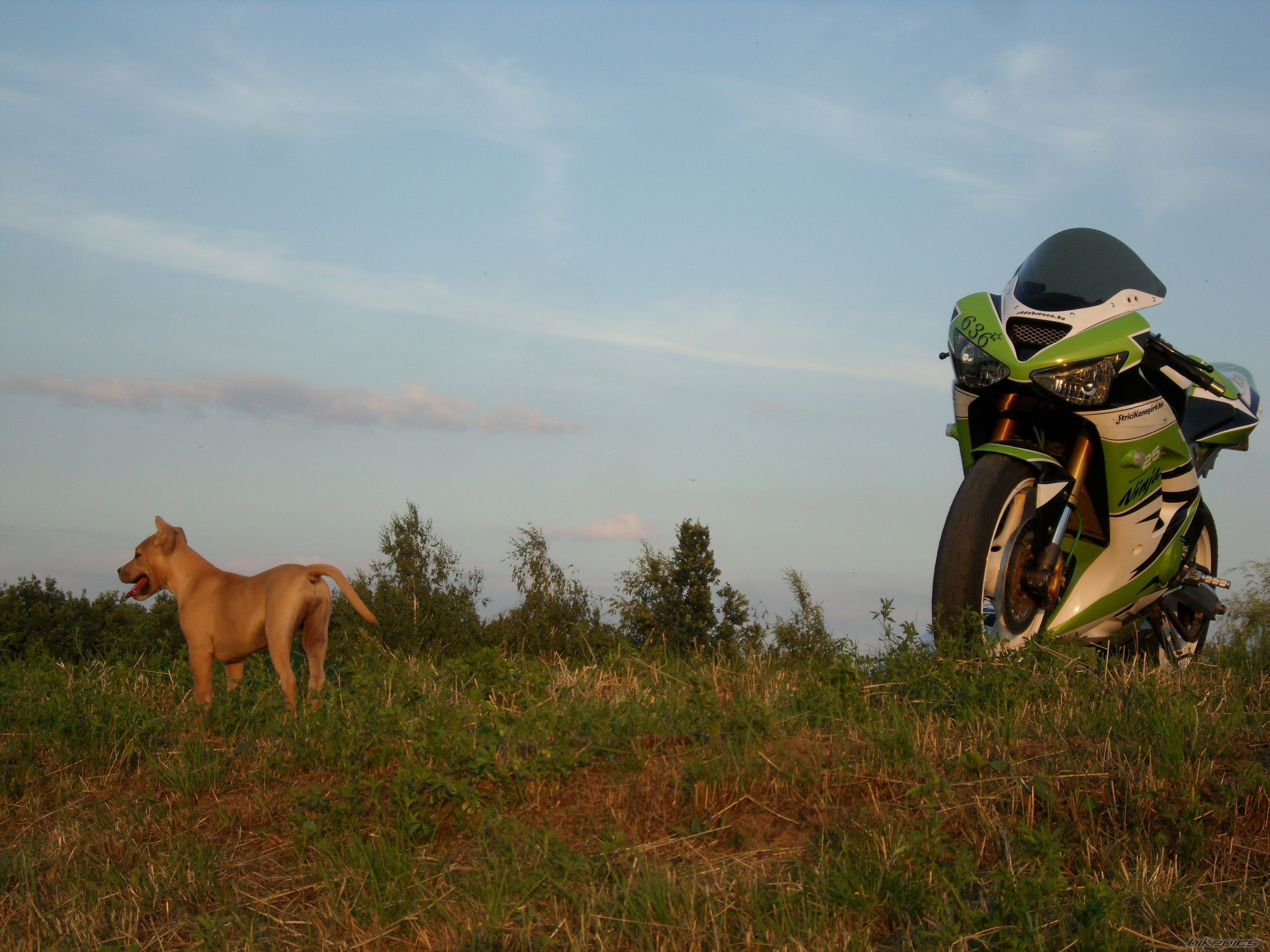 Bike Photo 2333273