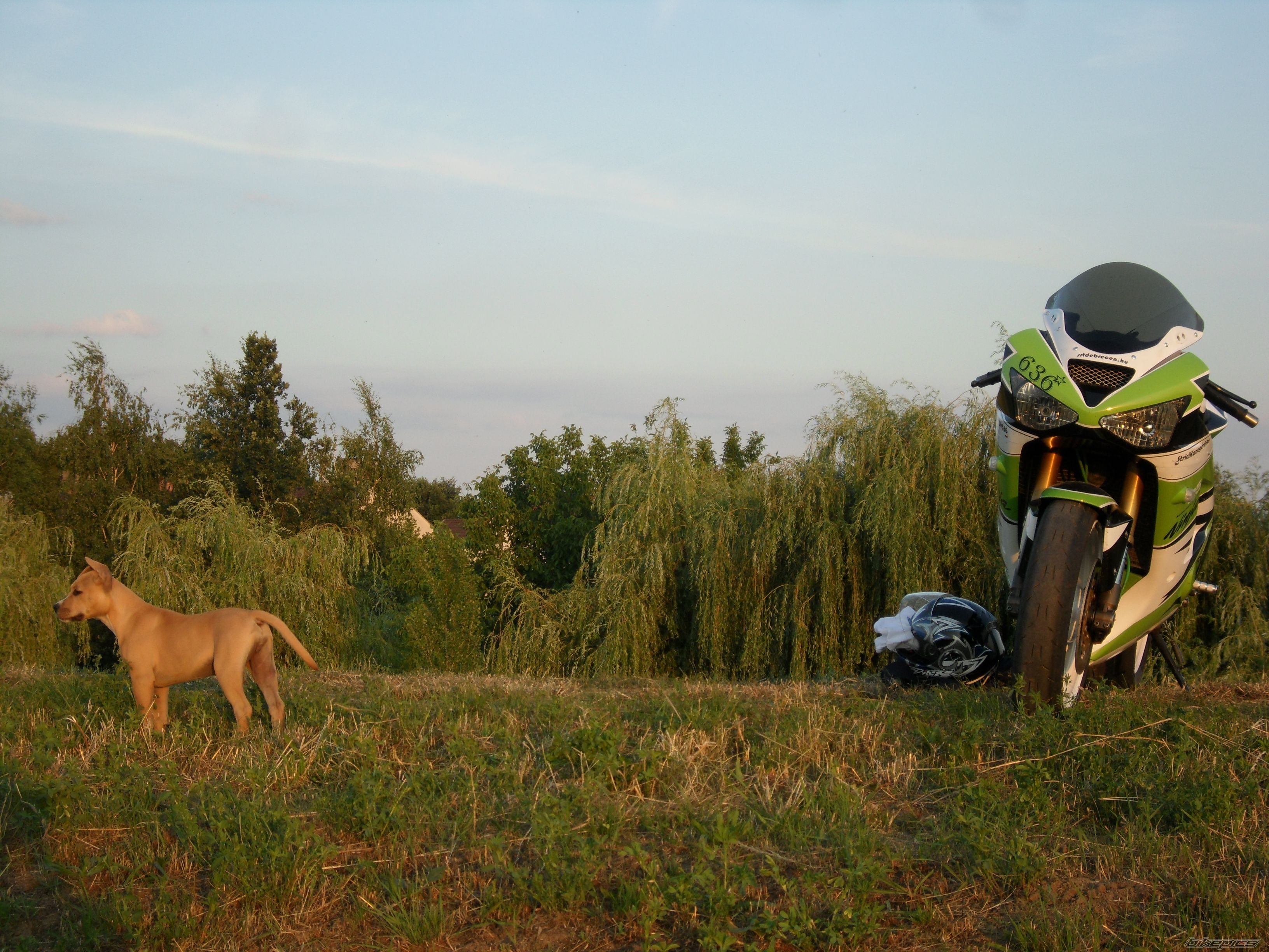 Bike Photo 2333274