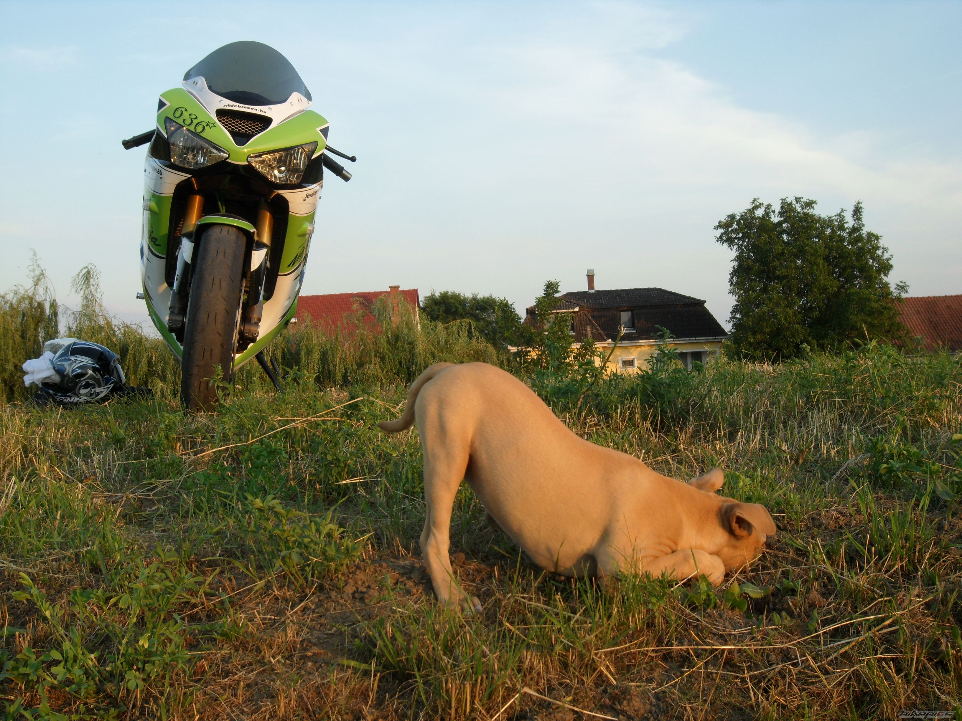 Bike Photo 2333275