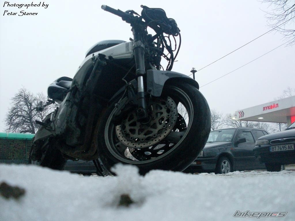 Photo 2333280
