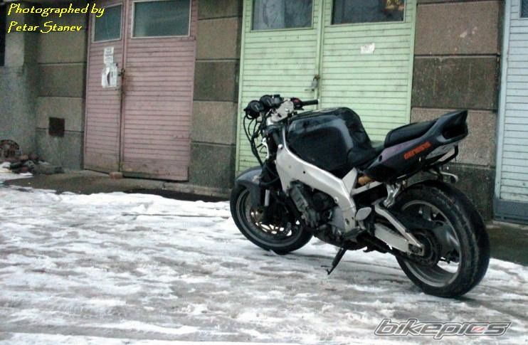 Photo 2333283