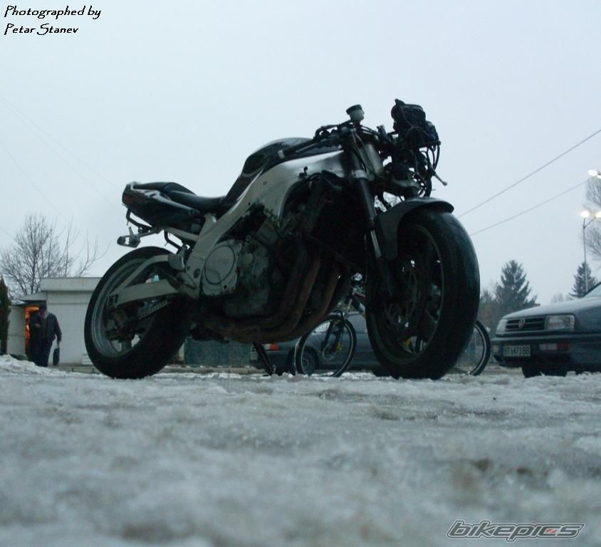 Photo 2333286