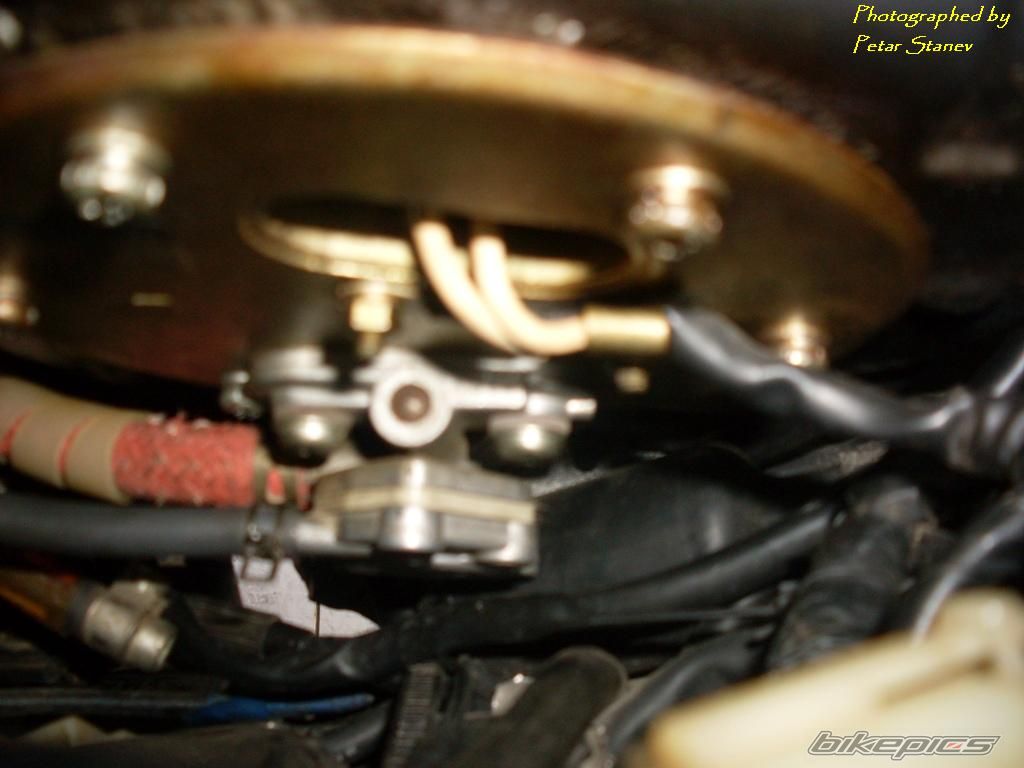 Photo 2333293