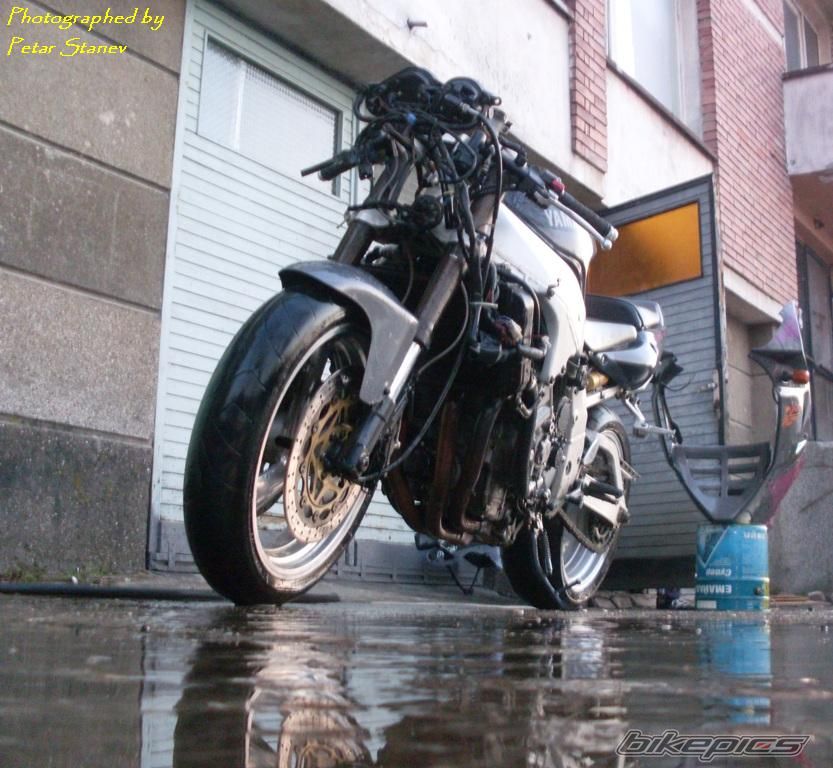 Photo 2333342