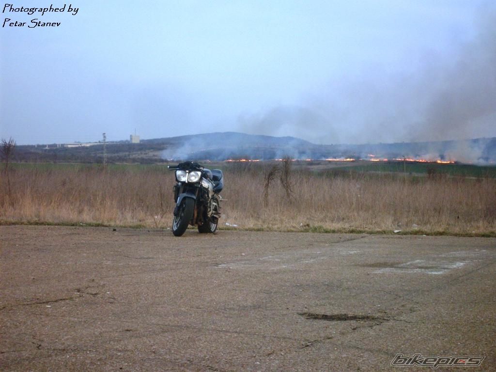 Photo 2333359