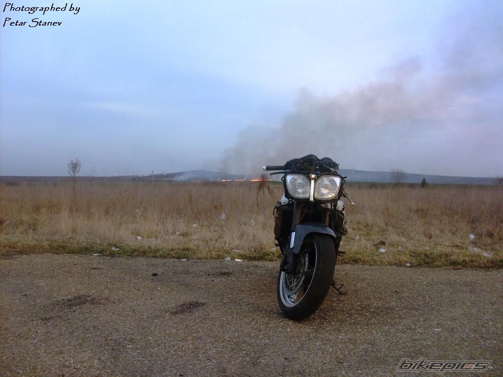 Photo 2333361