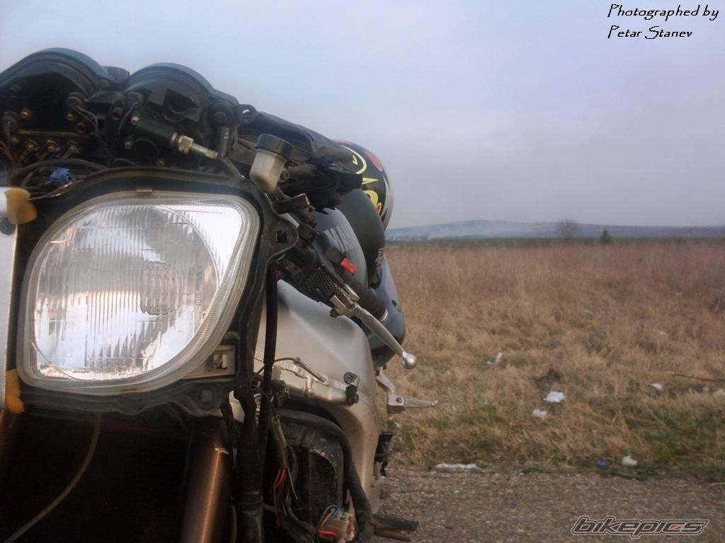 Photo 2333366