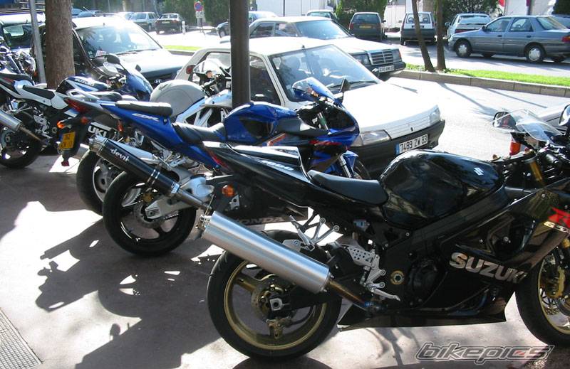 Photo 233348
