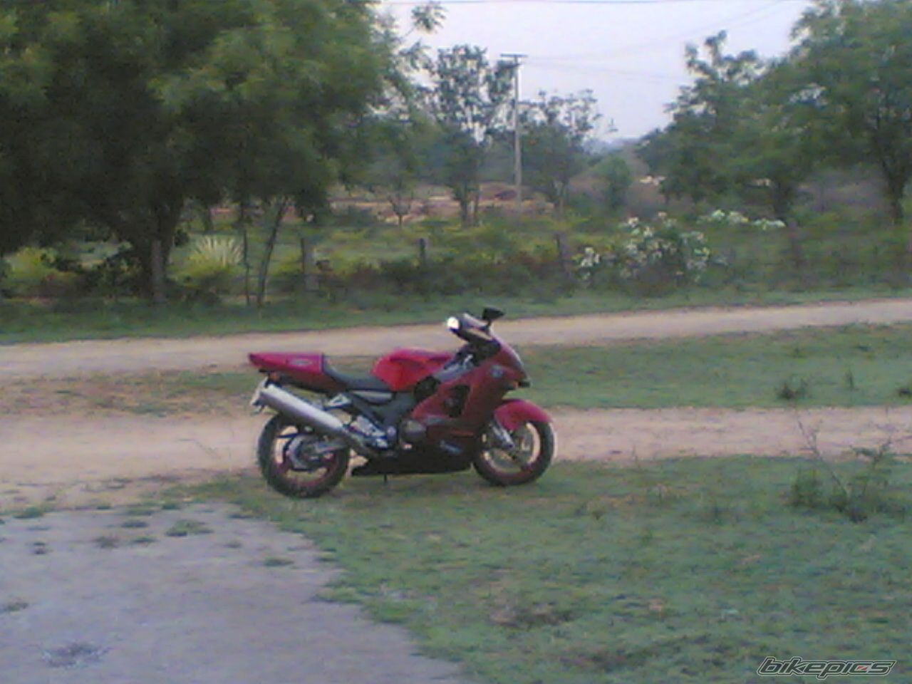 Photo 2333590