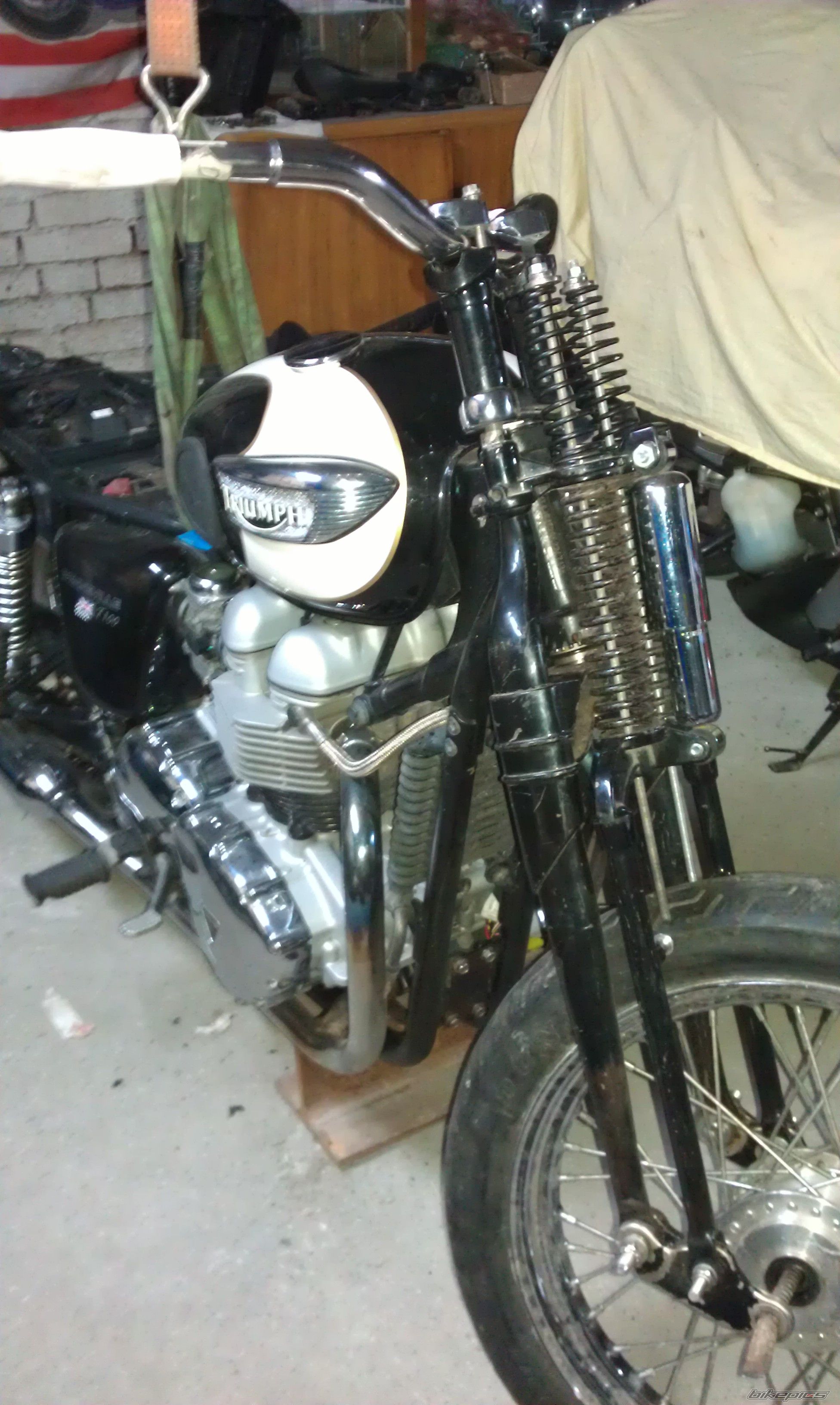 Photo 2333598