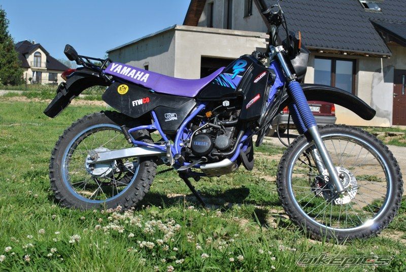 Photo 2333710