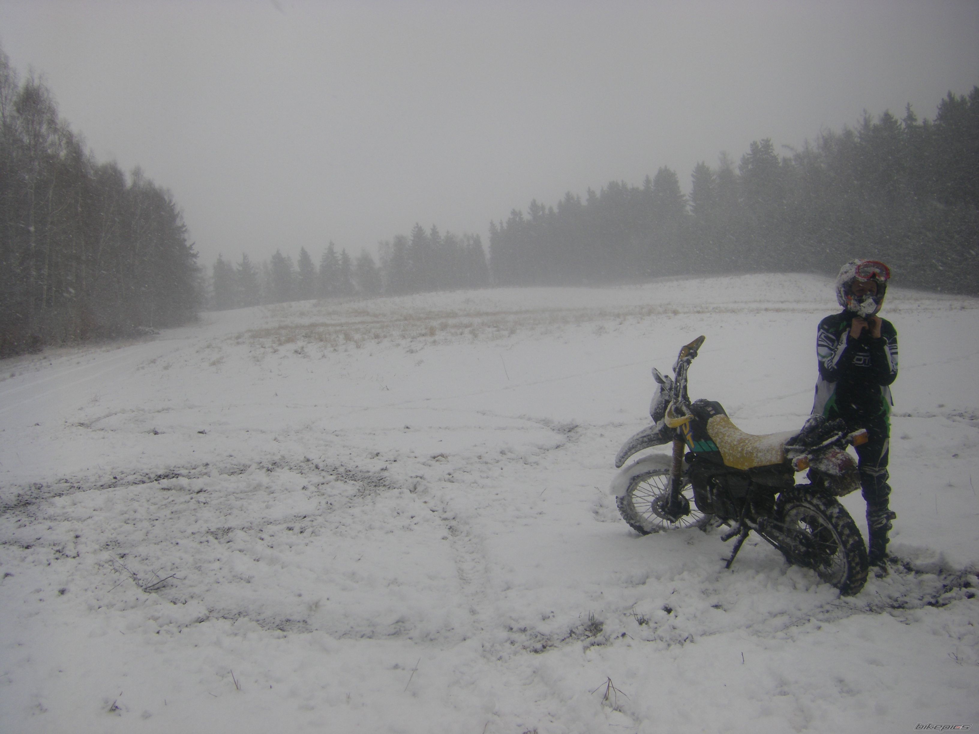 Photo 2333718