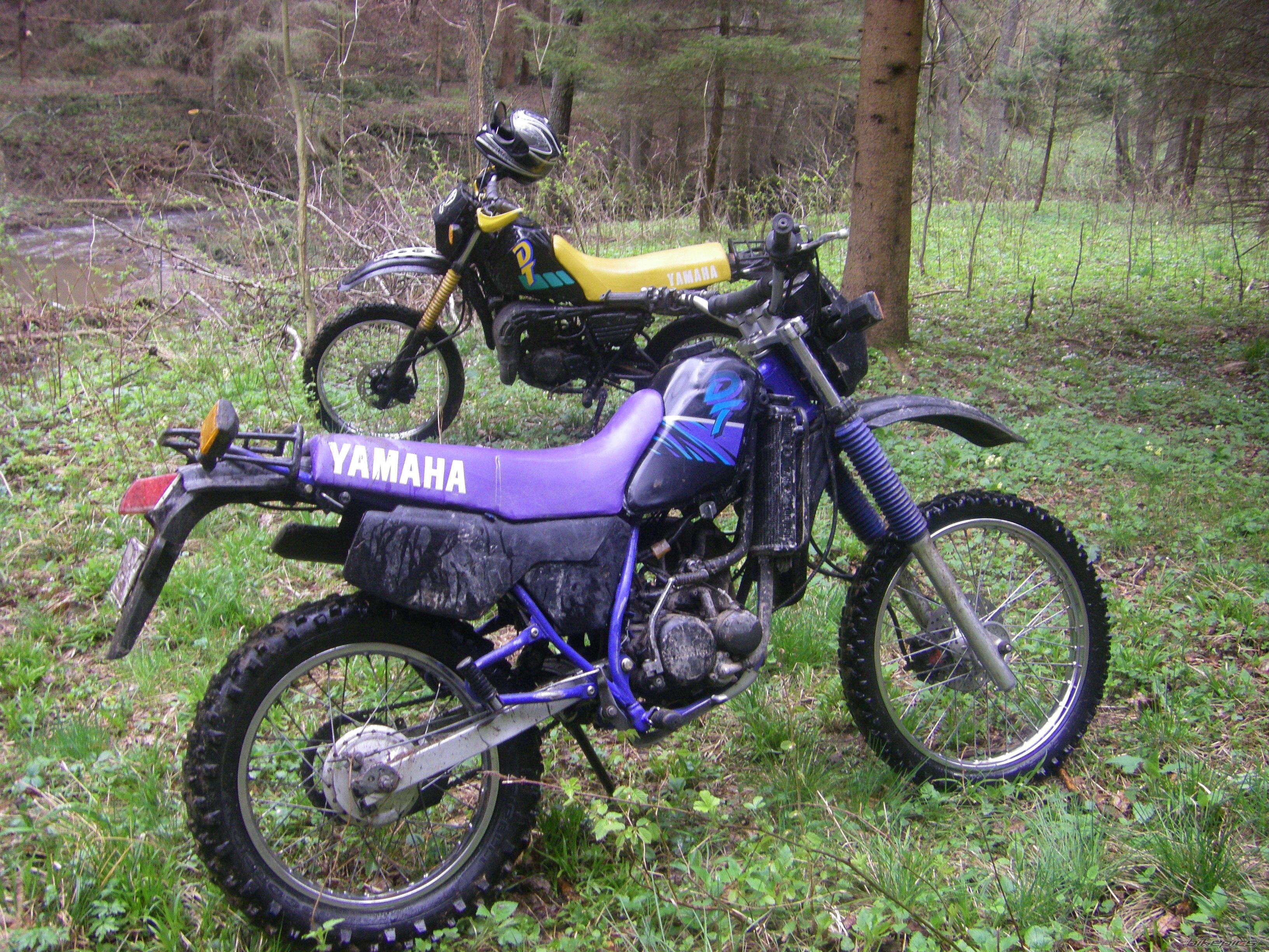 Photo 2333731