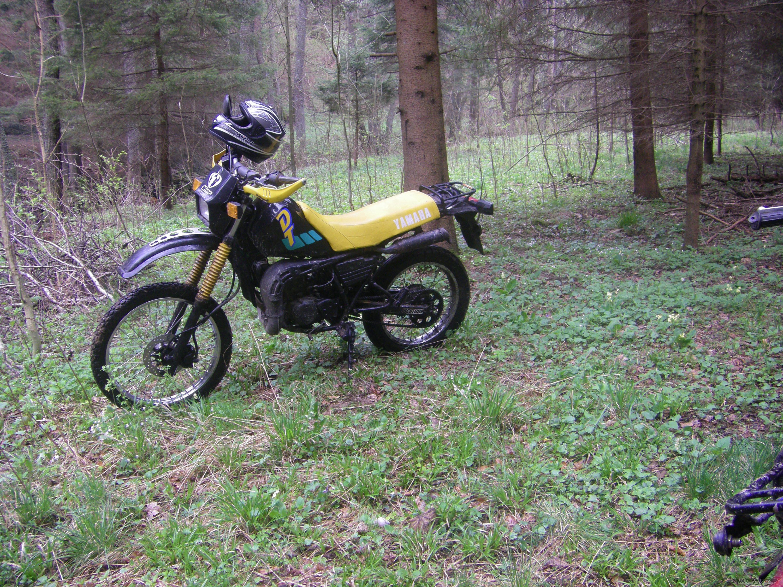 Photo 2333735