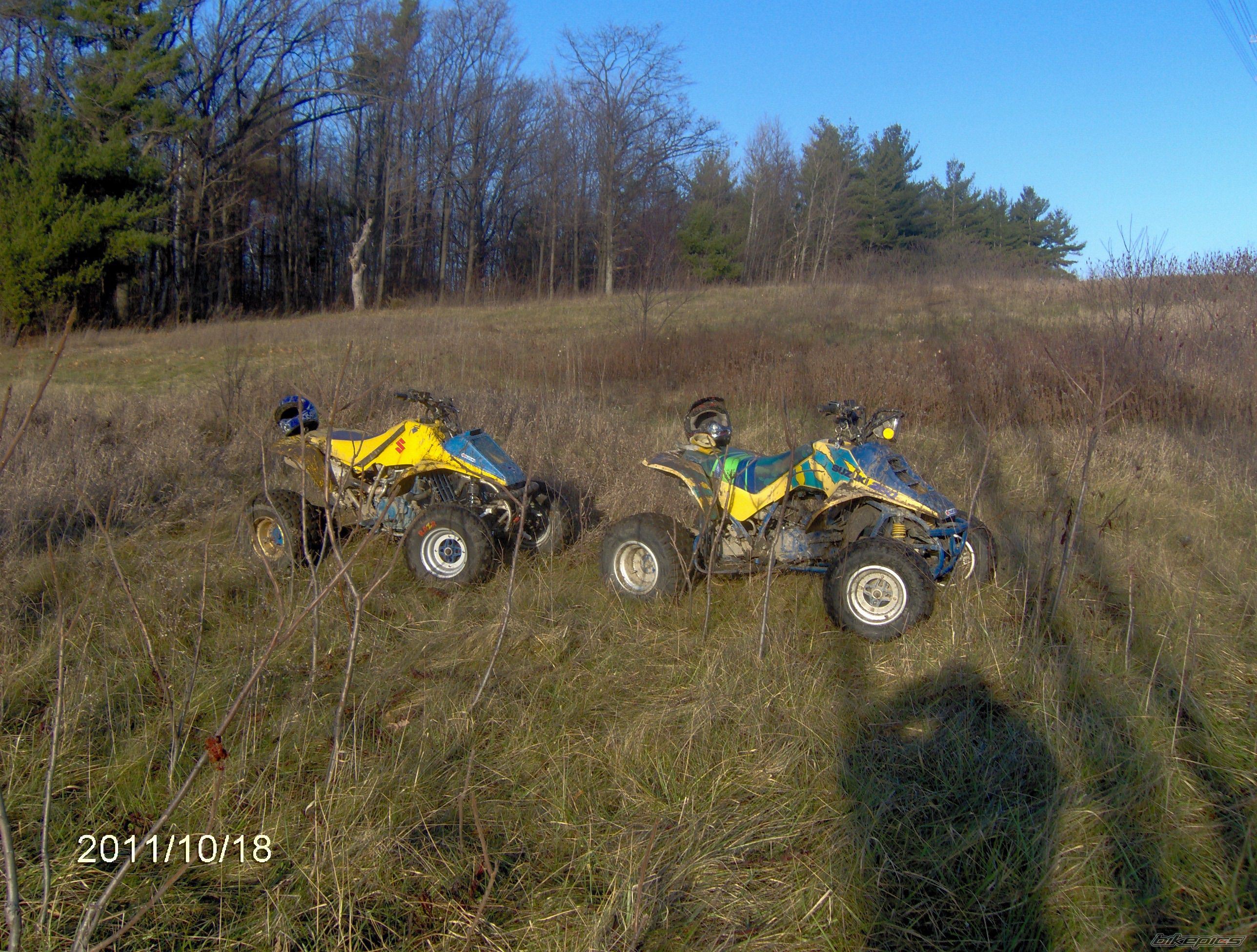 Photo 2333808