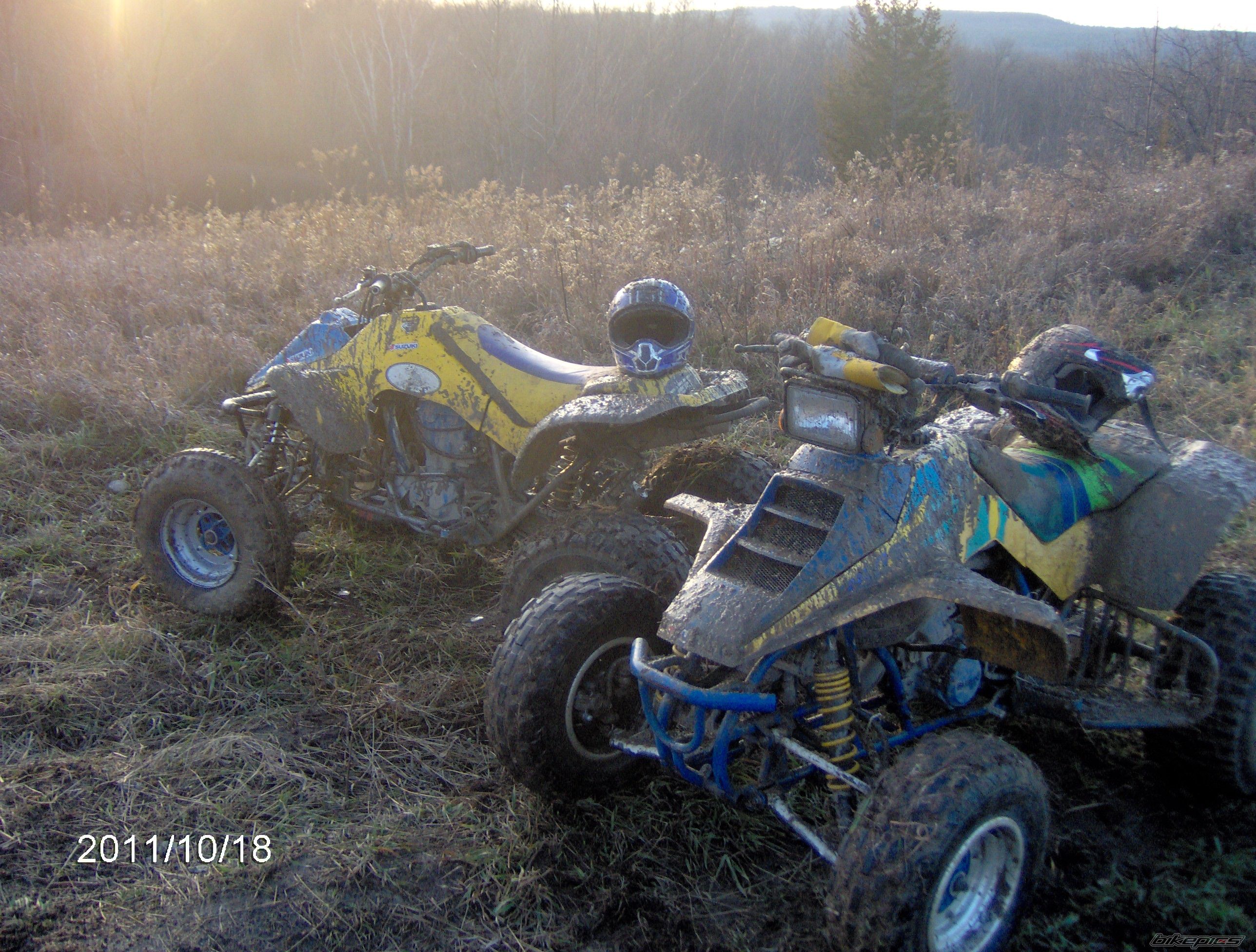 Photo 2333812