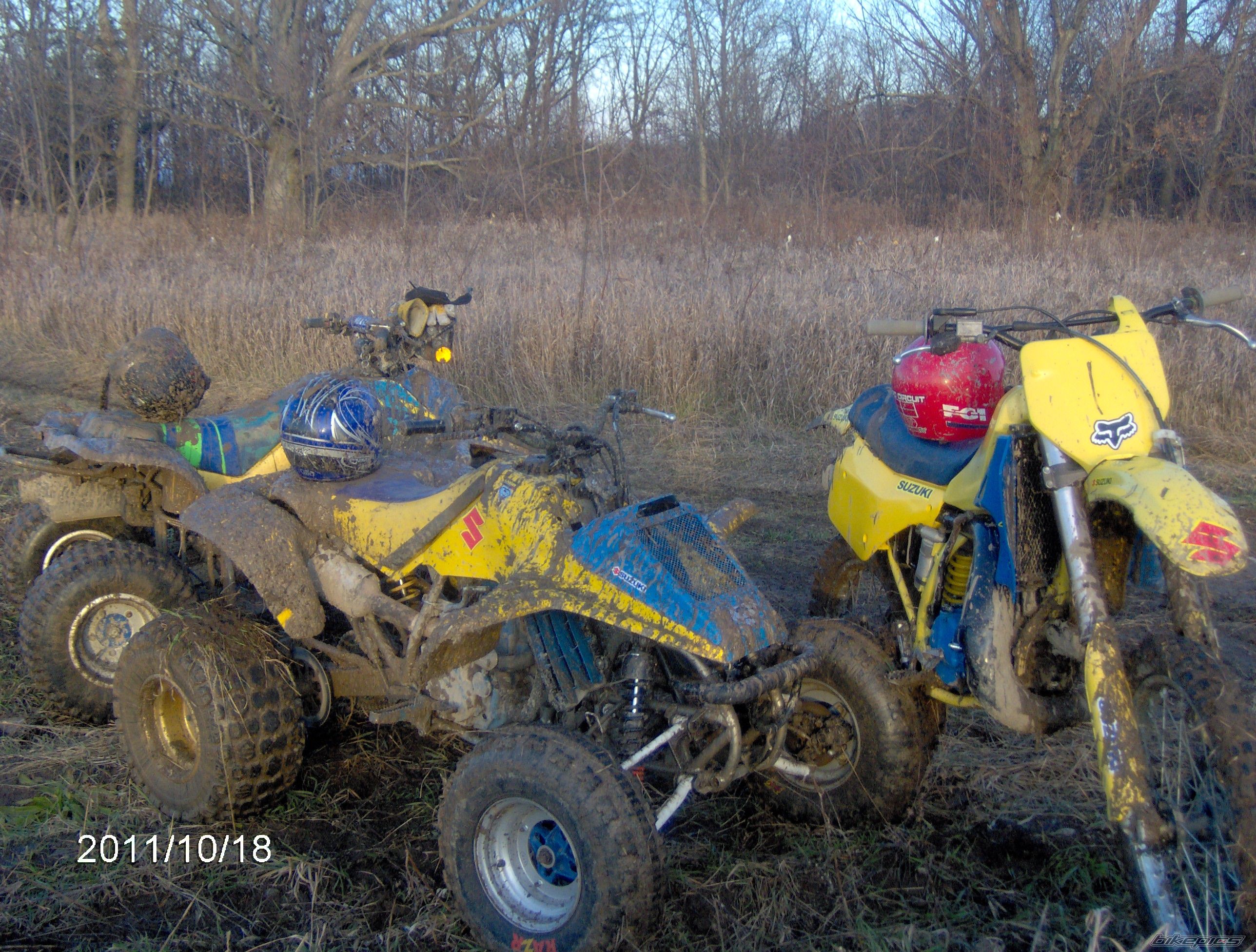 Photo 2333816