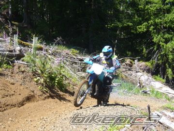Photo 2333828