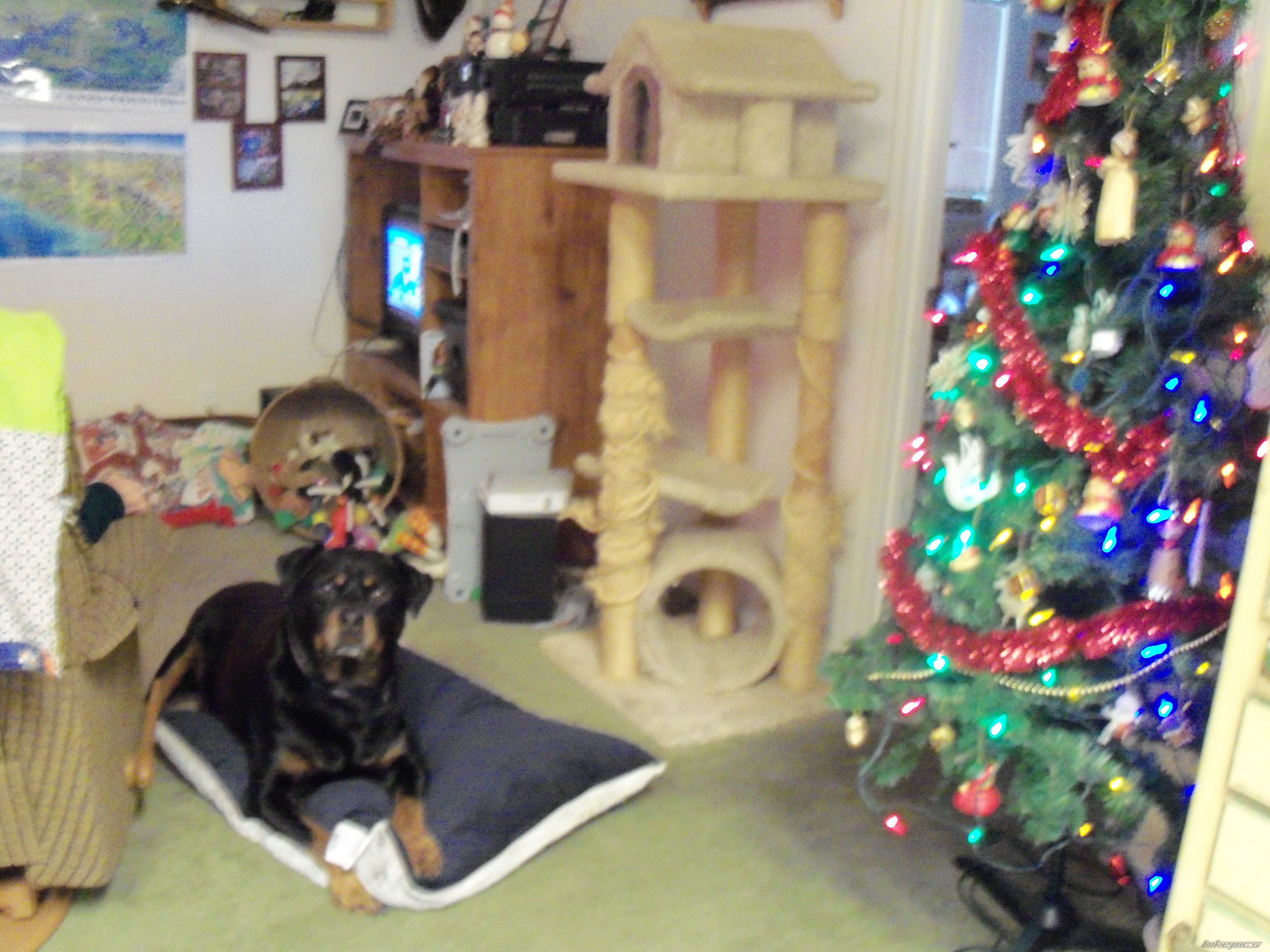 Photo 2333835