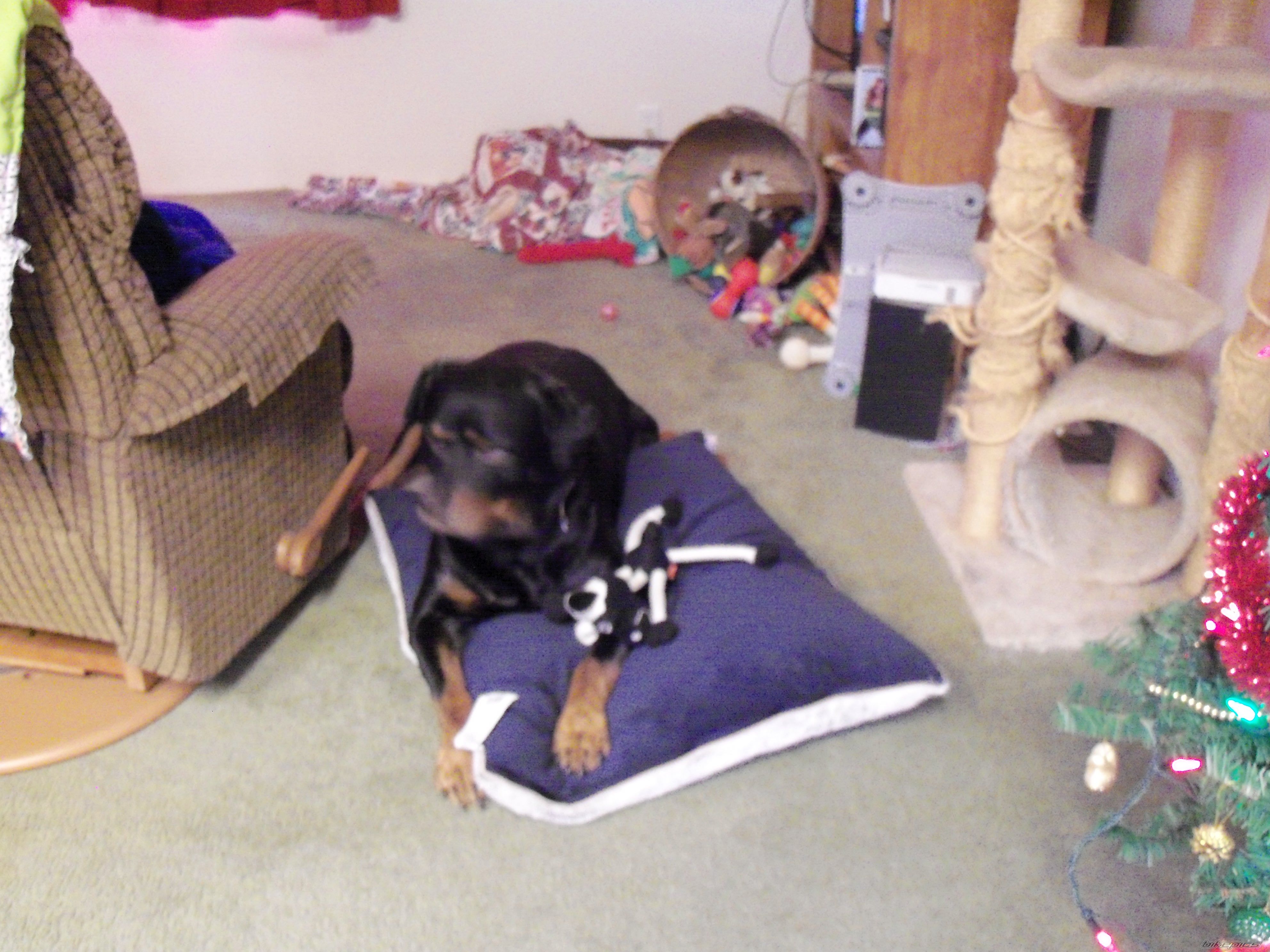 Photo 2333838