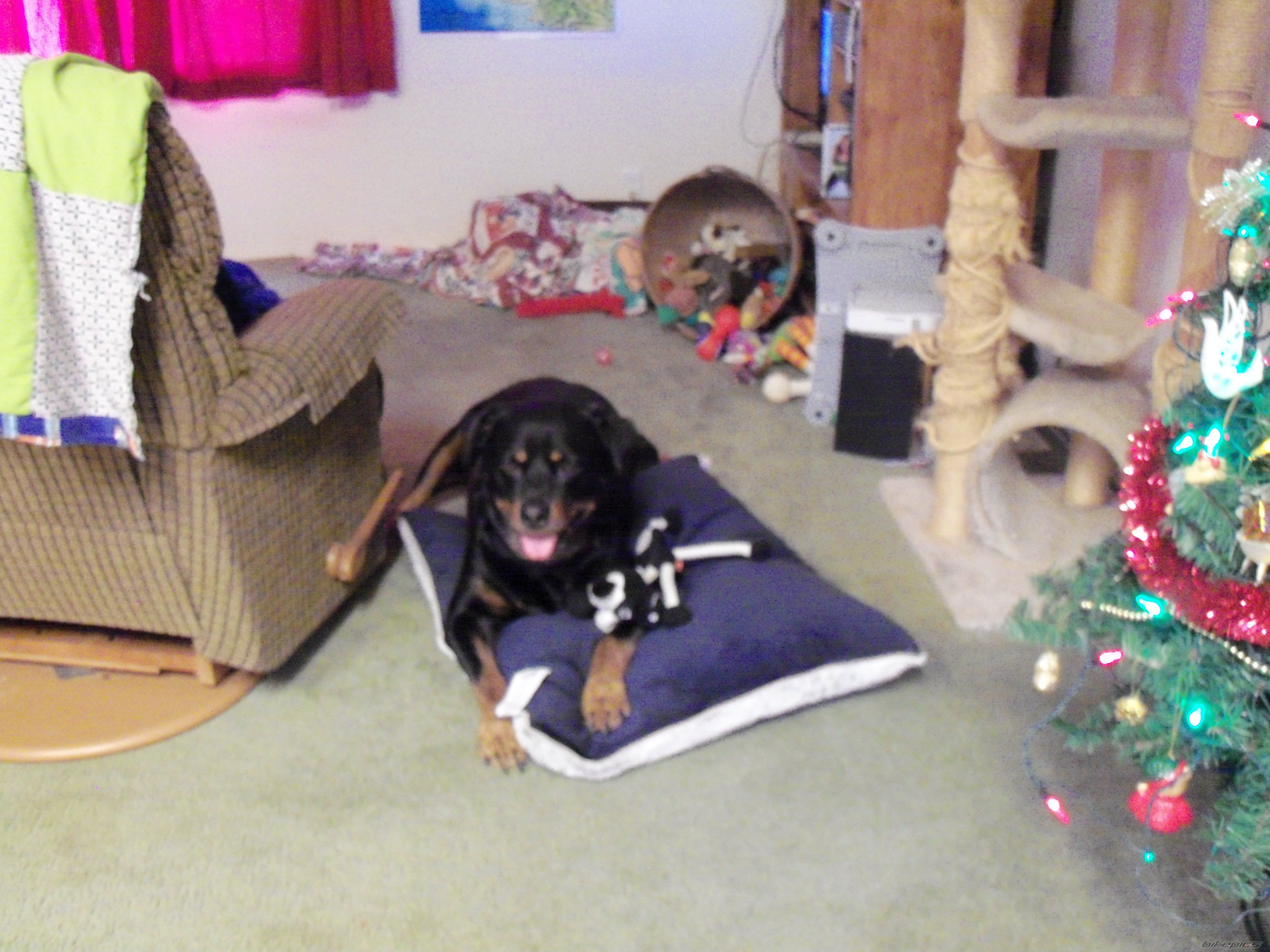Photo 2333840
