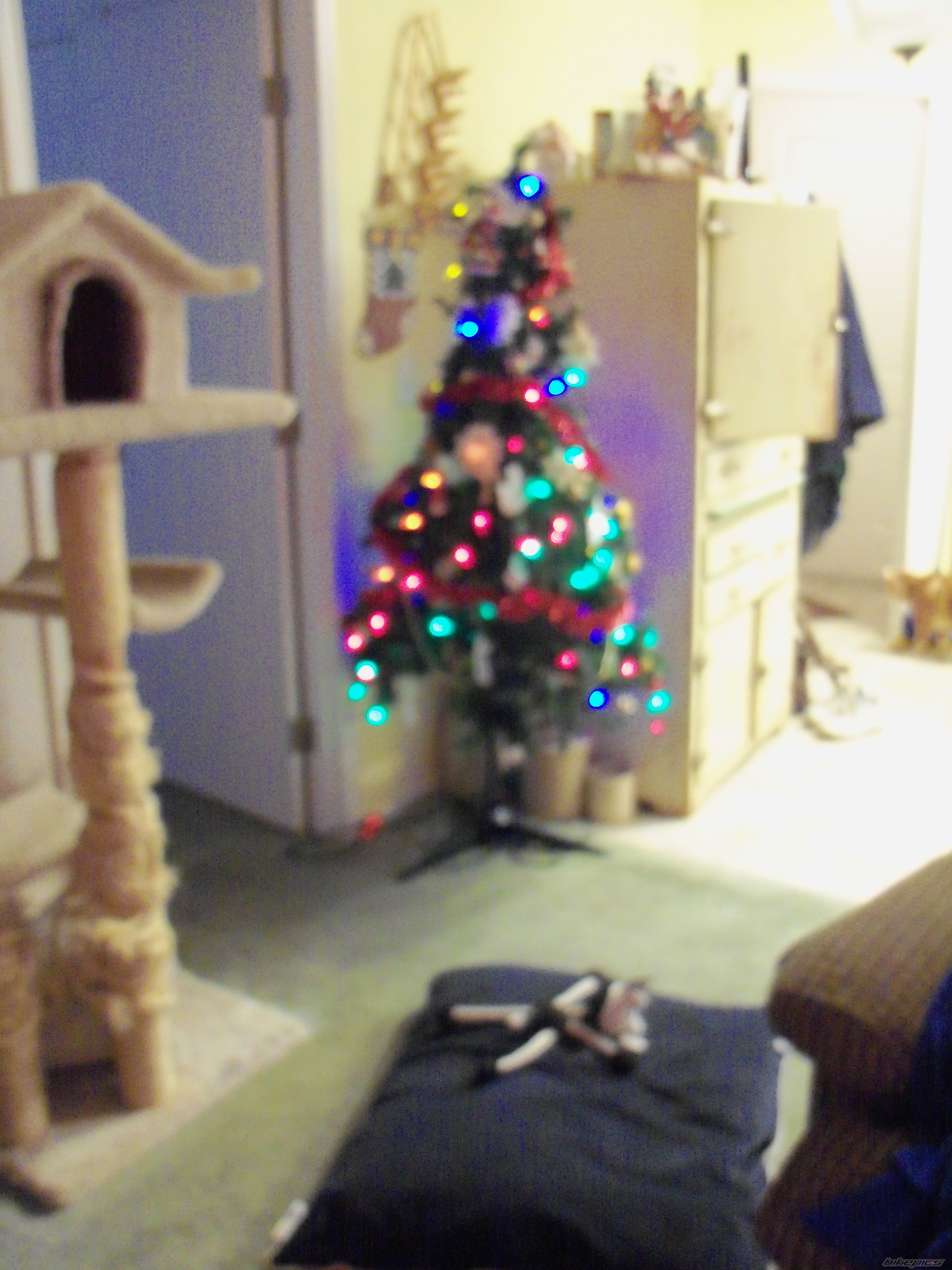 Photo 2333842
