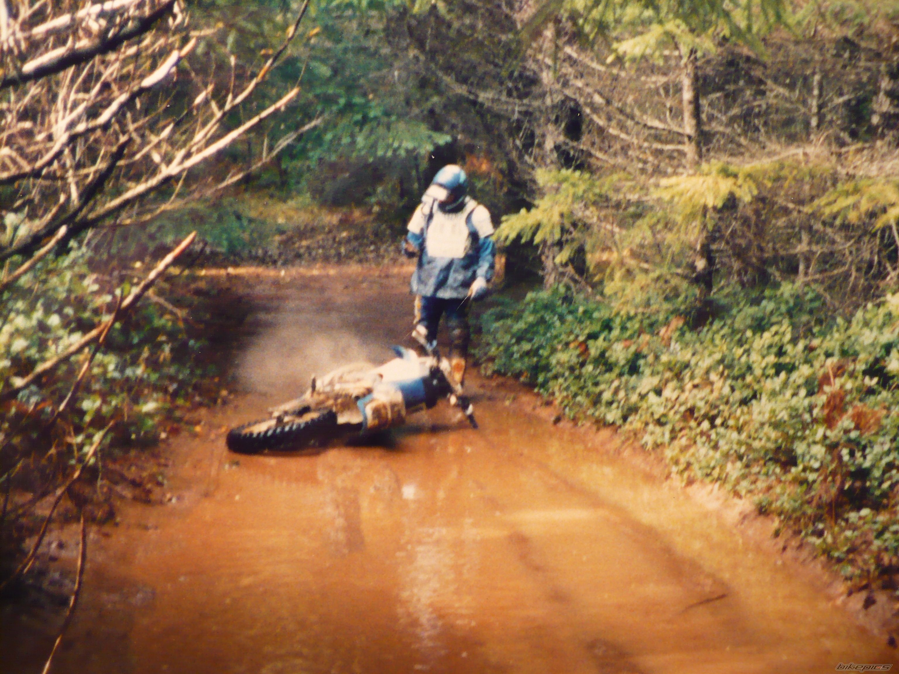 Photo 2333862