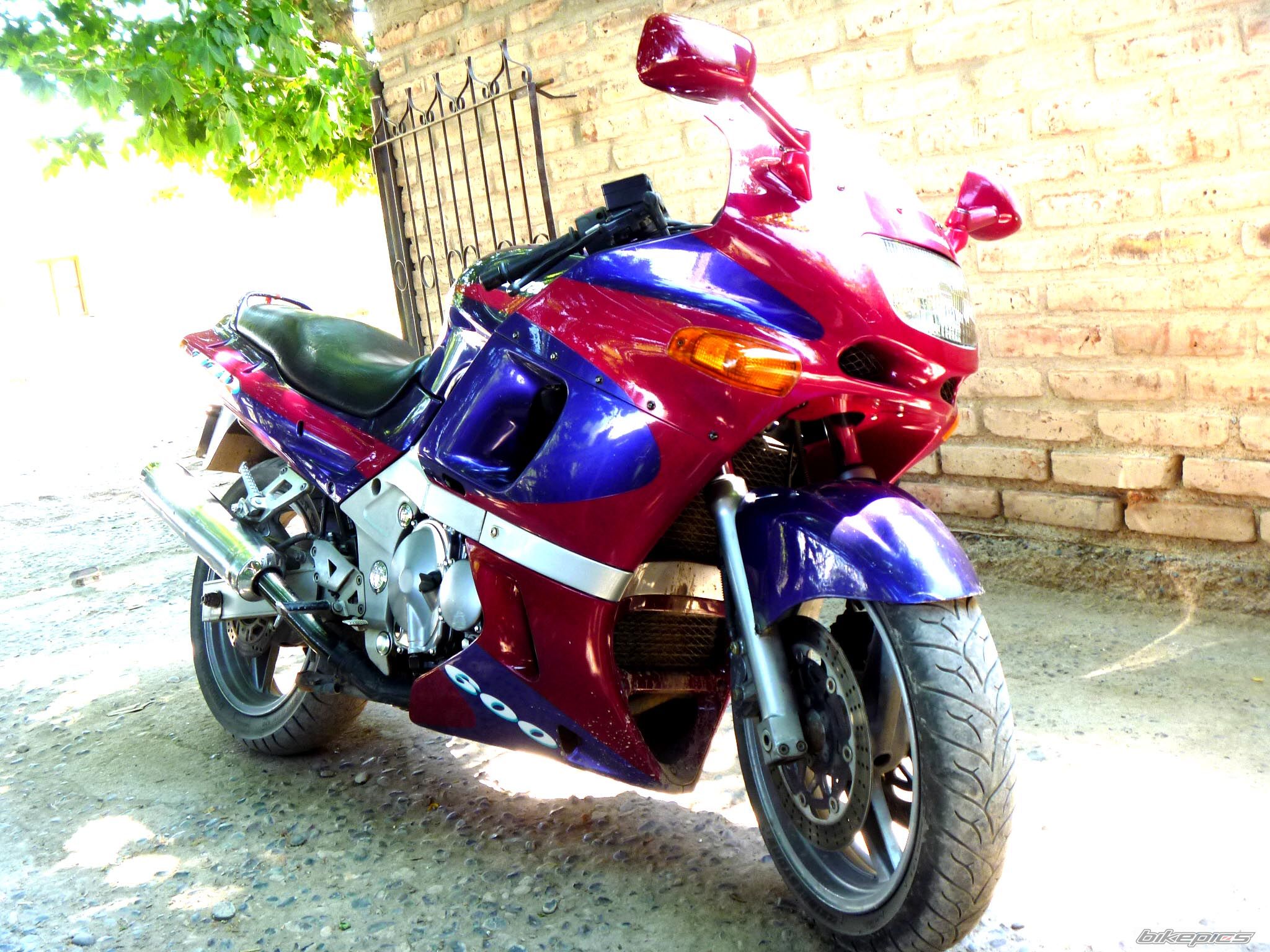 Photo 2333976