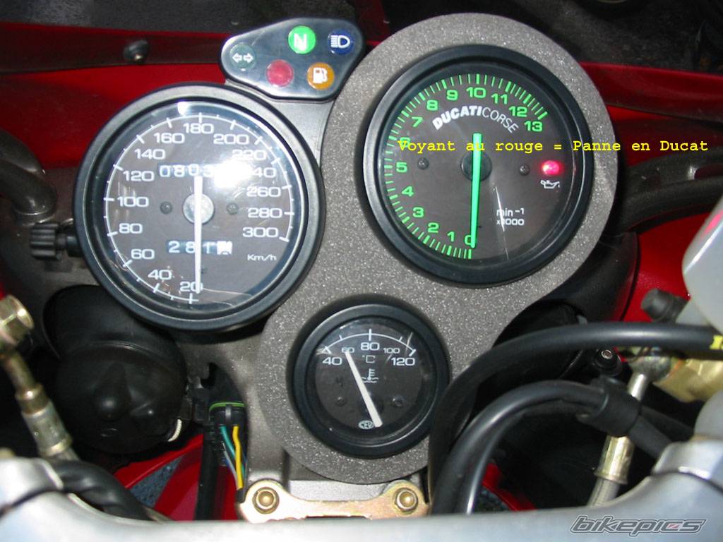 Photo 233398