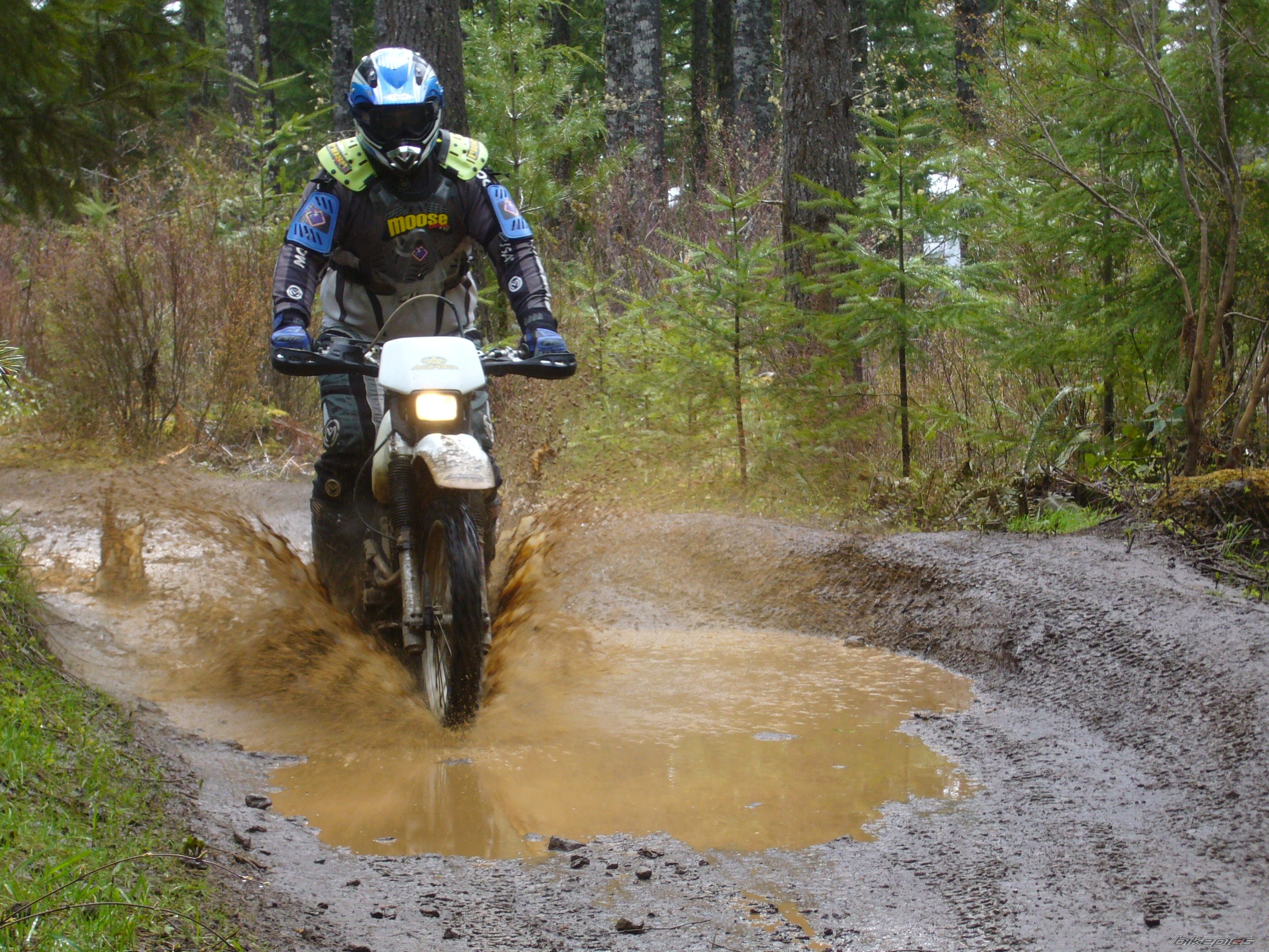 Bike Photo 2334199