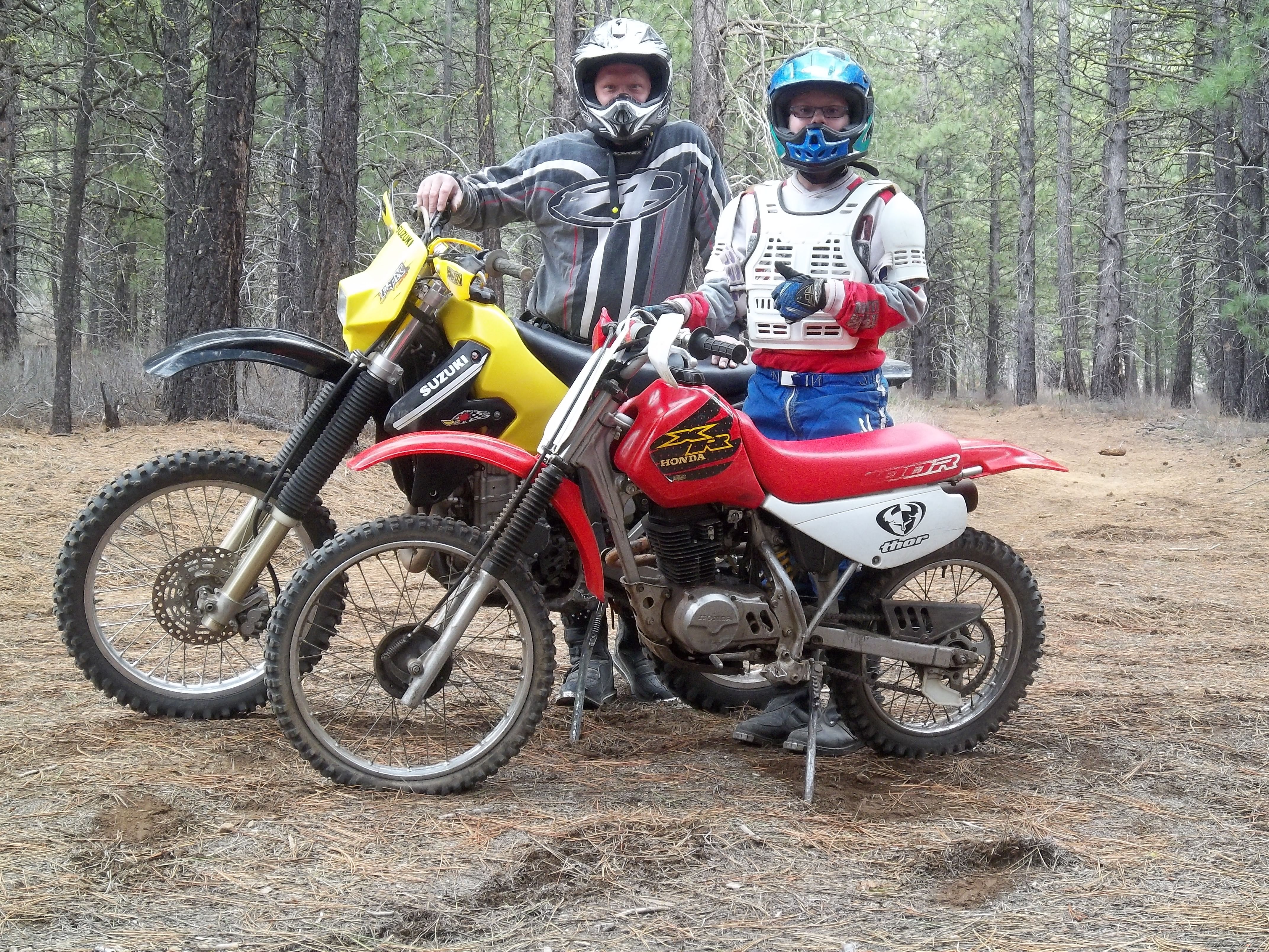 Photo 2334207