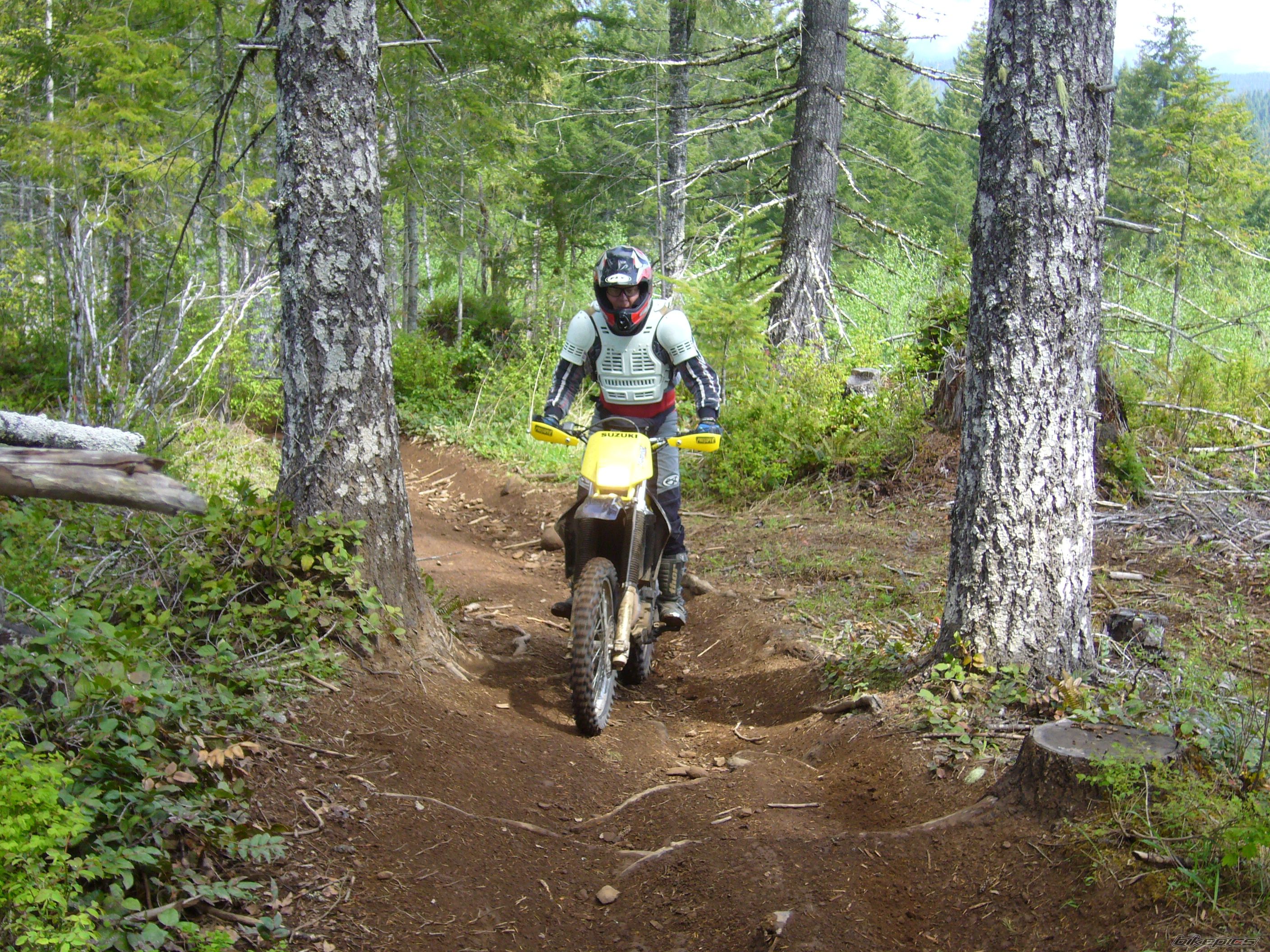 Photo 2334211