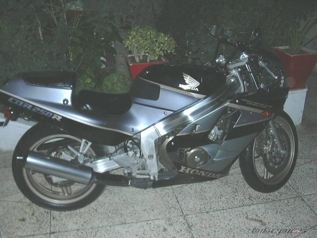 Photo 233427